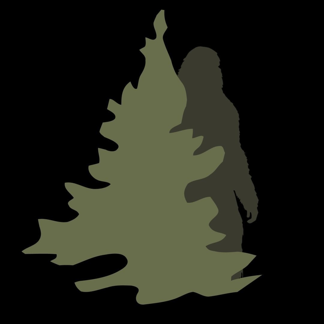 Camorado